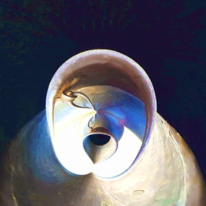 FA - 030