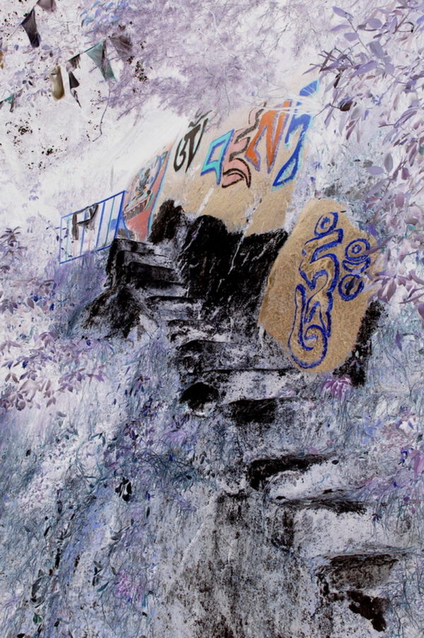 NA - 029
