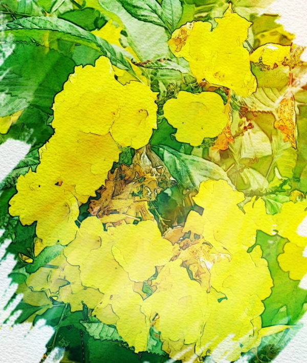 NA - 036
